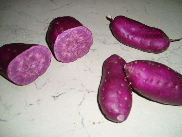 紫薯_2